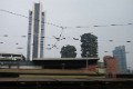 2019-09-27-1226-027_rs